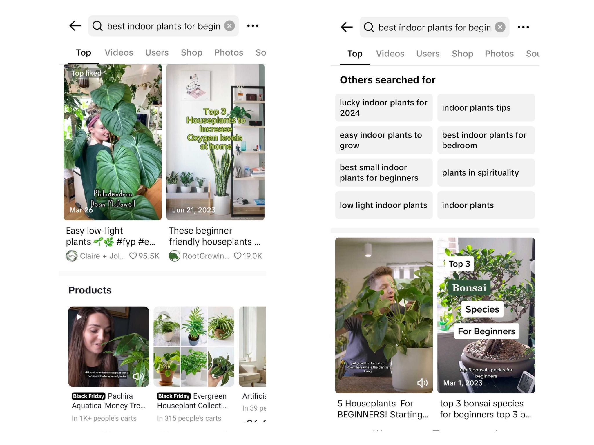 Screenshot of TikTok's search results for "best indoor house plants"