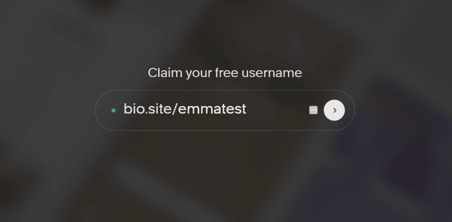 Box to add username when setting up Squarespace Bio Site