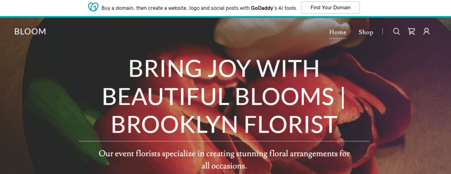 a free website by GoDaddy inviting you to "Find Your Domain"