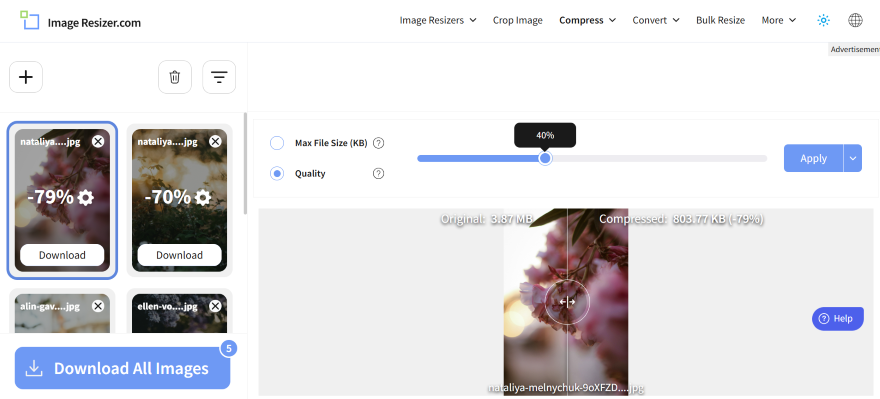A compressed image compared to its original file format quality