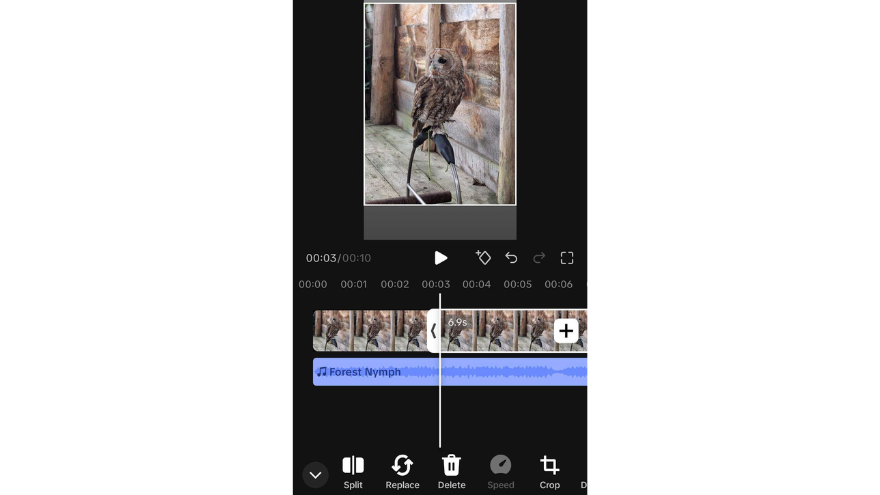 Screenshot of TikTok's editor when editing a video