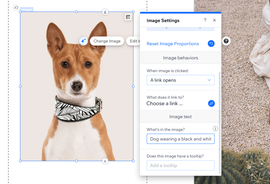 Image settings pop up in Wix to add alt text